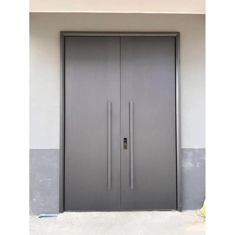 Entrance Door